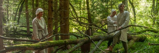 Bauern beim Holzschlagen im Wald