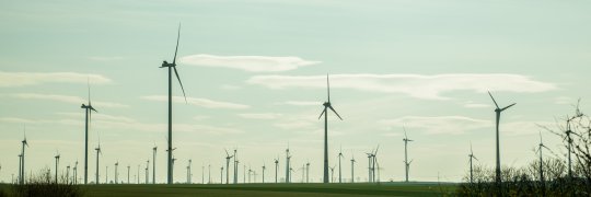 Tod durch Windkraft und Verkehr