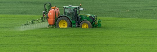 Landwirtschaft und Insektensterben