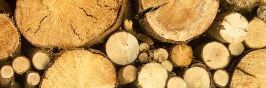 Holz als Energieträger